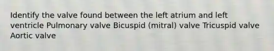 Identify the valve found between the left atrium and left ventricle Pulmonary valve Bicuspid (mitral) valve Tricuspid valve Aortic valve