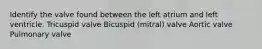 Identify the valve found between the left atrium and left ventricle. Tricuspid valve Bicuspid (mitral) valve Aortic valve Pulmonary valve