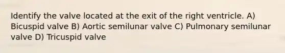 Identify the valve located at the exit of the right ventricle. A) Bicuspid valve B) Aortic semilunar valve C) Pulmonary semilunar valve D) Tricuspid valve