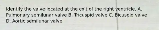 Identify the valve located at the exit of the right ventricle. A. Pulmonary semilunar valve B. Tricuspid valve C. Bicuspid valve D. Aortic semilunar valve