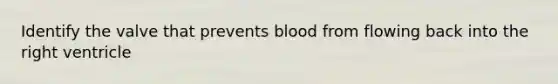 Identify the valve that prevents blood from flowing back into the right ventricle