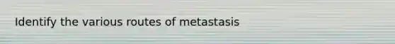 Identify the various routes of metastasis