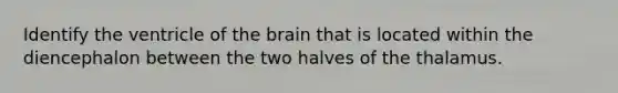 Identify the ventricle of the brain that is located within the diencephalon between the two halves of the thalamus.