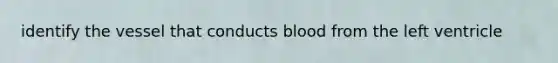 identify the vessel that conducts blood from the left ventricle