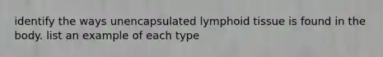 identify the ways unencapsulated lymphoid tissue is found in the body. list an example of each type