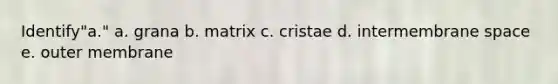 Identify"a." a. grana b. matrix c. cristae d. intermembrane space e. outer membrane