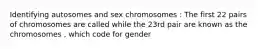 Identifying autosomes and sex chromosomes : The first 22 pairs of chromosomes are called while the 23rd pair are known as the chromosomes , which code for gender