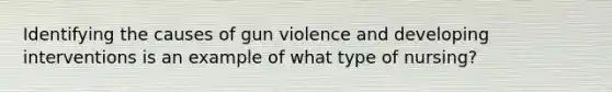 Identifying the causes of gun violence and developing interventions is an example of what type of nursing?