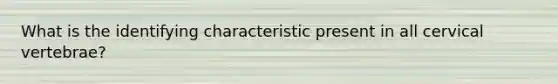 What is the identifying characteristic present in all cervical vertebrae?