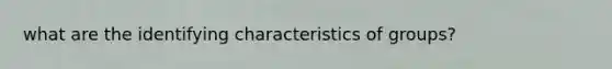 what are the identifying characteristics of groups?