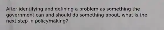 After identifying and defining a problem as something the government can and should do something about, what is the next step in policymaking?