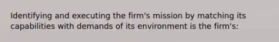 Identifying and executing the firm's mission by matching its capabilities with demands of its environment is the firm's: