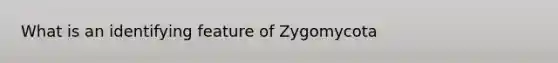 What is an identifying feature of Zygomycota