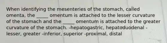 When identifying the mesenteries of the stomach, called omenta, the _____ omentum is attached to the lesser curvature of the stomach and the _____ omentum is attached to the greater curvature of the stomach. -hepatogastric, hepatoduodenal -lesser, greater -inferior, superior -proximal, distal