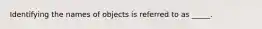 Identifying the names of objects is referred to as _____.