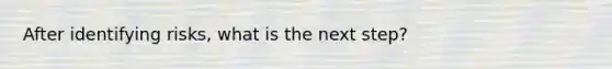 After identifying risks, what is the next step?