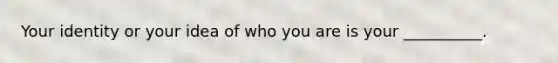 Your identity or your idea of who you are is your __________.