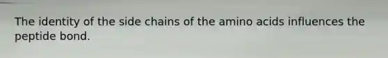 The identity of the side chains of the amino acids influences the peptide bond.