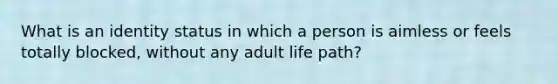 What is an identity status in which a person is aimless or feels totally blocked, without any adult life path?