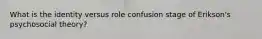 What is the identity versus role confusion stage of Erikson's psychosocial theory?