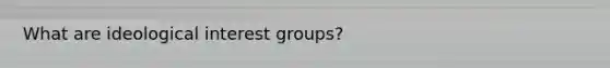 What are ideological interest groups?