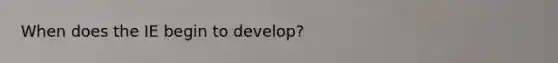 When does the IE begin to develop?