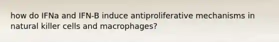 how do IFNa and IFN-B induce antiproliferative mechanisms in natural killer cells and macrophages?