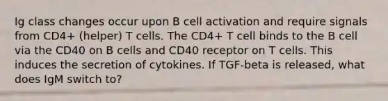 Ig class changes occur upon B cell activation and require signals from CD4+ (helper) T cells. The CD4+ T cell binds to the B cell via the CD40 on B cells and CD40 receptor on T cells. This induces the secretion of cytokines. If TGF-beta is released, what does IgM switch to?