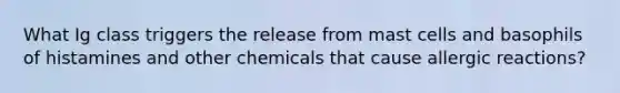 What Ig class triggers the release from mast cells and basophils of histamines and other chemicals that cause allergic reactions?