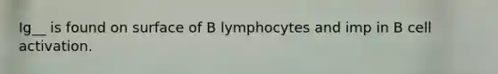 Ig__ is found on surface of B lymphocytes and imp in B cell activation.