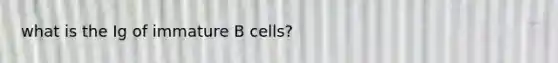 what is the Ig of immature B cells?