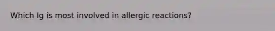 Which Ig is most involved in allergic reactions?