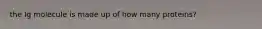 the Ig molecule is made up of how many proteins?