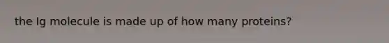 the Ig molecule is made up of how many proteins?