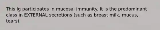 This Ig participates in mucosal immunity. It is the predominant class in EXTERNAL secretions (such as breast milk, mucus, tears).