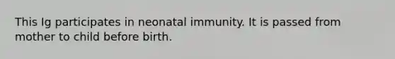 This Ig participates in neonatal immunity. It is passed from mother to child before birth.