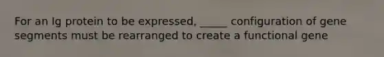 For an Ig protein to be expressed, _____ configuration of gene segments must be rearranged to create a functional gene