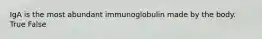 IgA is the most abundant immunoglobulin made by the body. True False