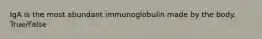 IgA is the most abundant immunoglobulin made by the body. True/False