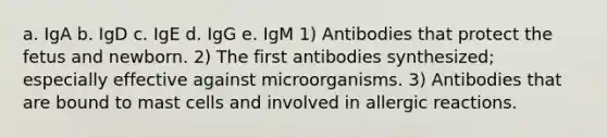 a. IgA b. IgD c. IgE d. IgG e. IgM 1) Antibodies that protect the fetus and newborn. 2) The first antibodies synthesized; especially effective against microorganisms. 3) Antibodies that are bound to mast cells and involved in allergic reactions.