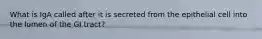 What is IgA called after it is secreted from the epithelial cell into the lumen of the GI tract?