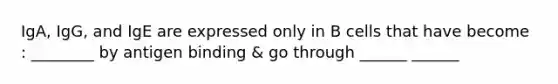 IgA, IgG, and IgE are expressed only in B cells that have become : ________ by antigen binding & go through ______ ______