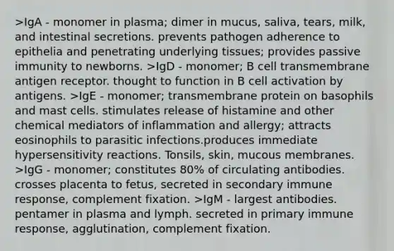 >IgA - monomer in plasma; dimer in mucus, saliva, tears, milk, and intestinal secretions. prevents pathogen adherence to epithelia and penetrating underlying tissues; provides passive immunity to newborns. >IgD - monomer; B cell transmembrane antigen receptor. thought to function in B cell activation by antigens. >IgE - monomer; transmembrane protein on basophils and mast cells. stimulates release of histamine and other chemical mediators of inflammation and allergy; attracts eosinophils to parasitic infections.produces immediate hypersensitivity reactions. Tonsils, skin, mucous membranes. >IgG - monomer; constitutes 80% of circulating antibodies. crosses placenta to fetus, secreted in secondary immune response, complement fixation. >IgM - largest antibodies. pentamer in plasma and lymph. secreted in primary immune response, agglutination, complement fixation.