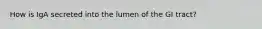 How is IgA secreted into the lumen of the GI tract?