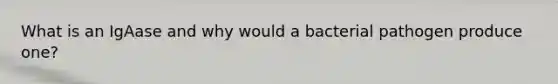 What is an IgAase and why would a bacterial pathogen produce one?