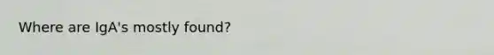 Where are IgA's mostly found?