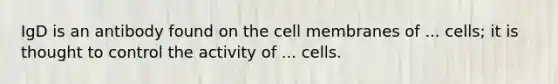 IgD is an antibody found on the cell membranes of ... cells; it is thought to control the activity of ... cells.