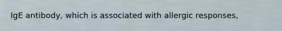 IgE antibody, which is associated with allergic responses,