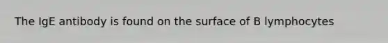 The IgE antibody is found on the surface of B lymphocytes