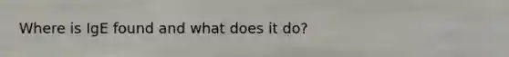Where is IgE found and what does it do?